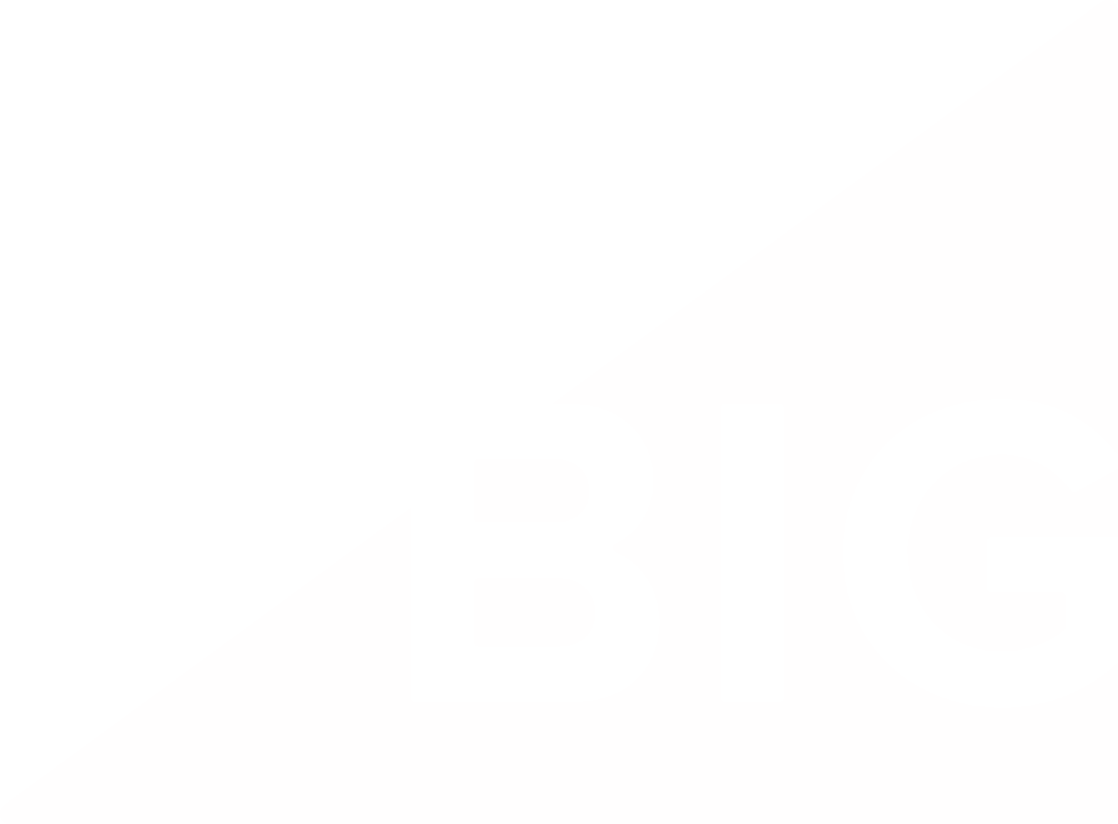 big logo